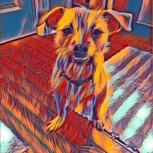 Meet your Posher, Sara